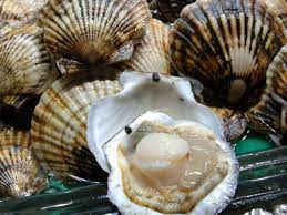 Bỏ Túi Bí Kíp Hấp Sò Điệp Để Sò Thơm Ngon Không Bị Tanh
