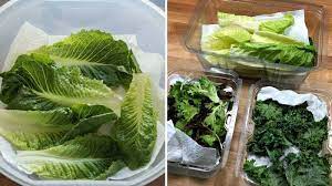 Rau Mua Về Thêm Bước Này Để Giữ Rau Tươi Xanh Không Bị Héo Cả Tháng